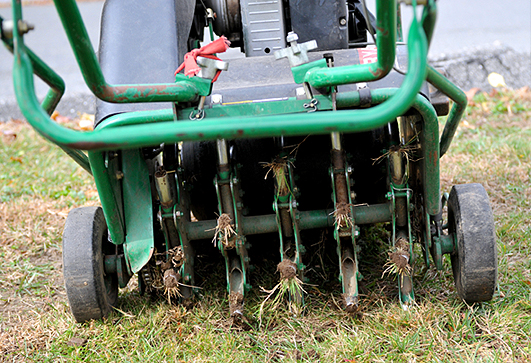 Lawn Core Aeration Companies in Rockford