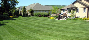 Lawn Mowing Rockford, Lawn Care Rockford, Rockford Lawn Mowing Contractors, Rockford Lawn Care Contractors